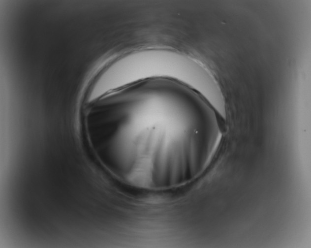 X0000094340248200711162015