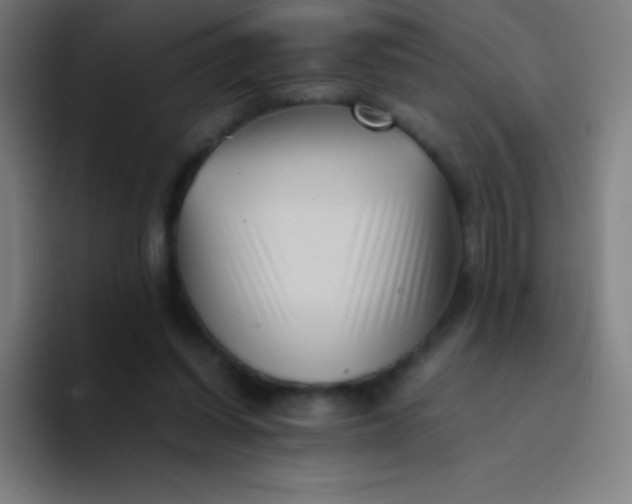 X0000094340254200711162015