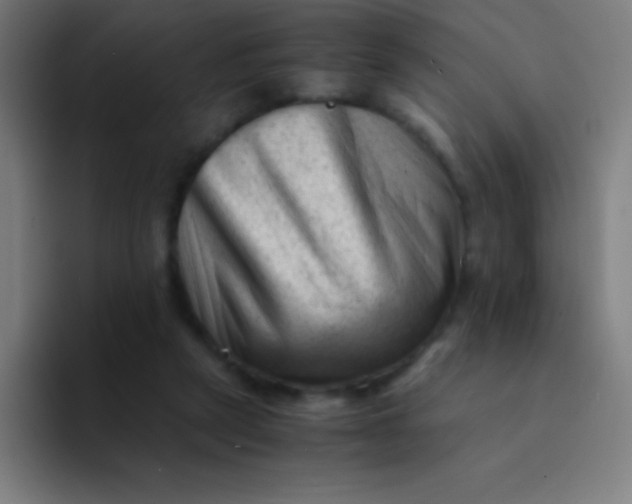 X0000094340257200711162015