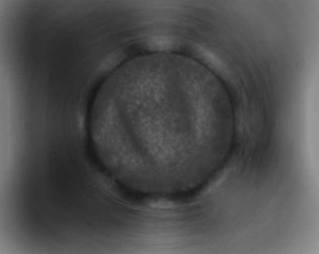 X0000094340258200711162015