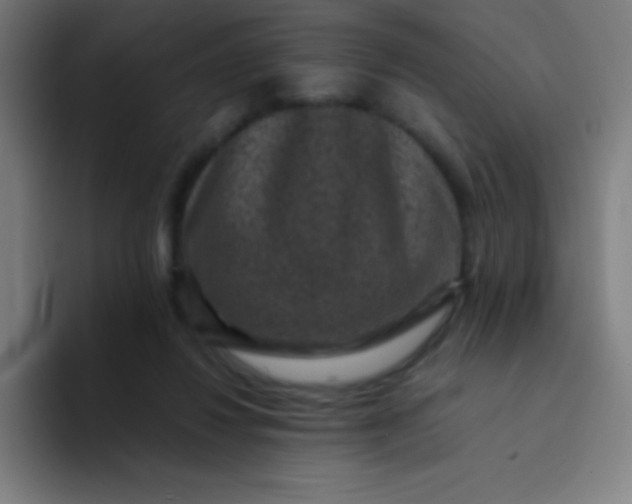 X0000094340260200711162016