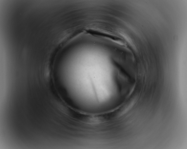 X0000094340261200711162016