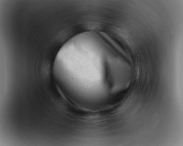 X0000094340263200711162016