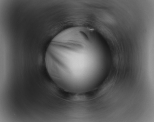 X0000094340270200711162016