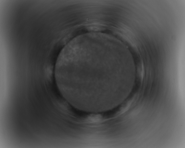 X0000094340271200711162016