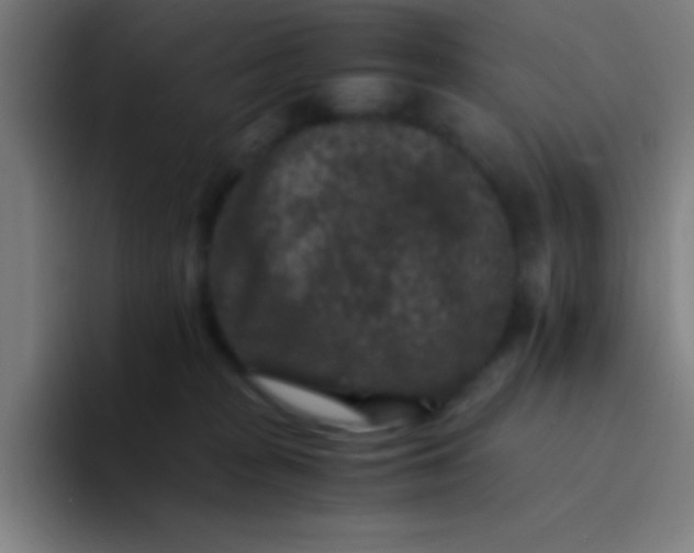 X0000094340277200711162016