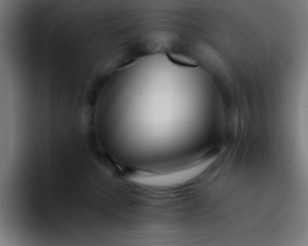 X0000094340280200711162016