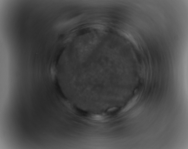 X0000094340285200711162016