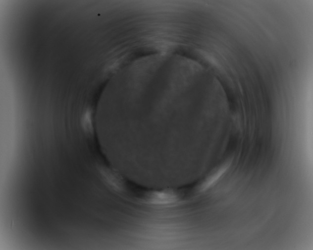 X0000094340286200711162016