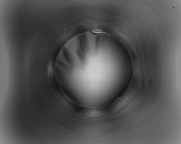 X0000094340287200711162016