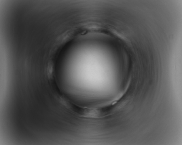 X0000094340288200711162016