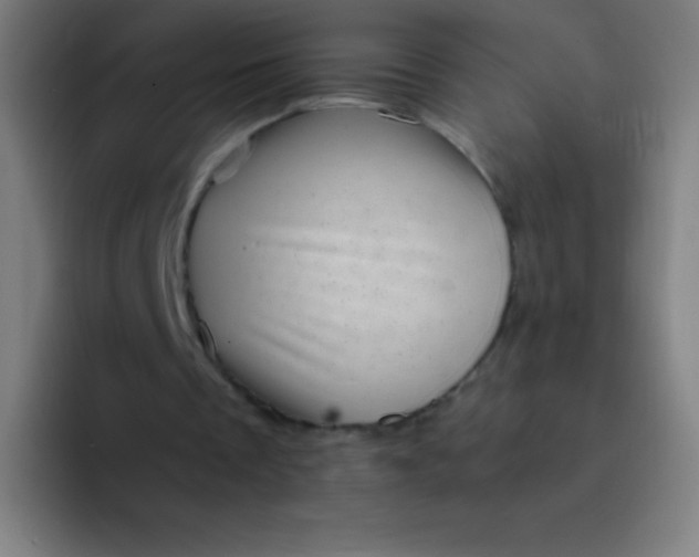 X0000094340289200711162015