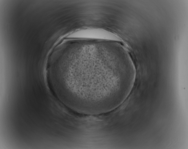 X0000094340290200711162015