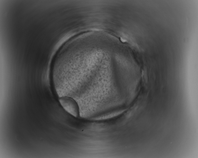 X0000094340292200711162015