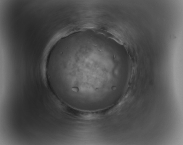 X0000094340293200711162015