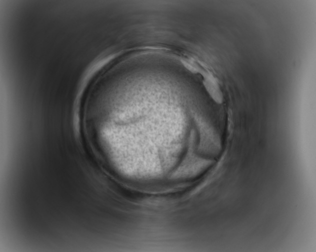 X0000094340294200711162015