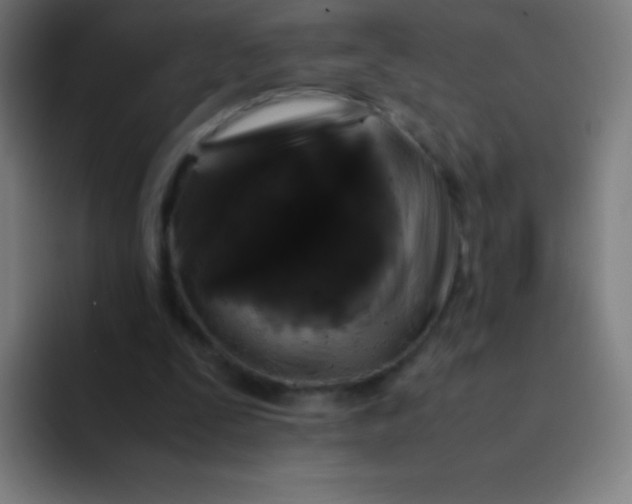 X0000094340295200711162015