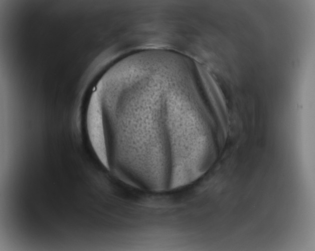 X0000094340296200711162015