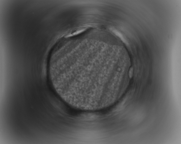 X0000094340299200711162015