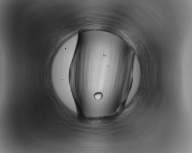 X0000094340301200711162015