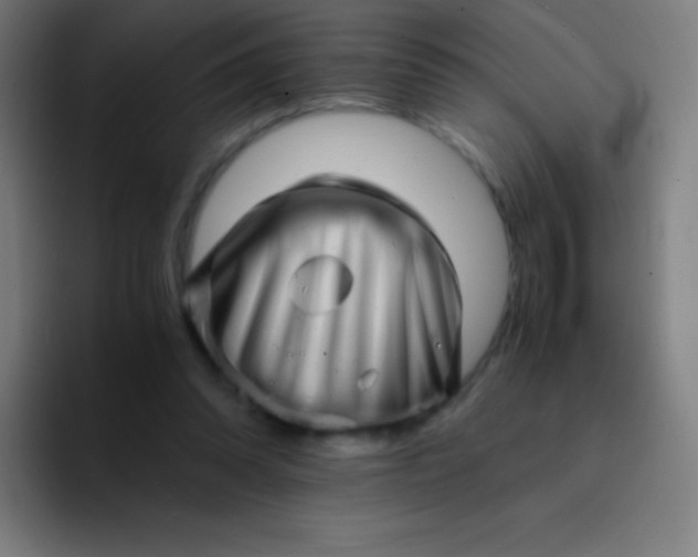 X0000094340302200711162015