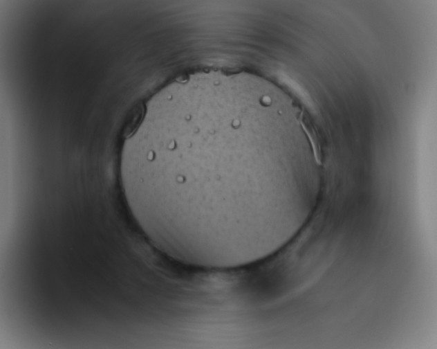 X0000094340305200711162015