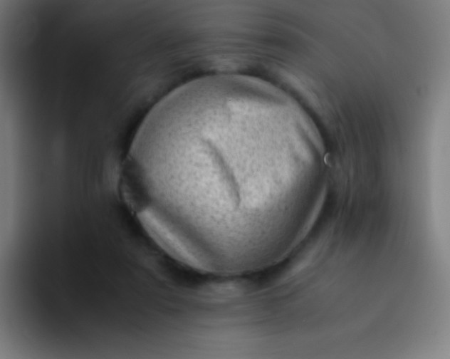 X0000094340307200711162015