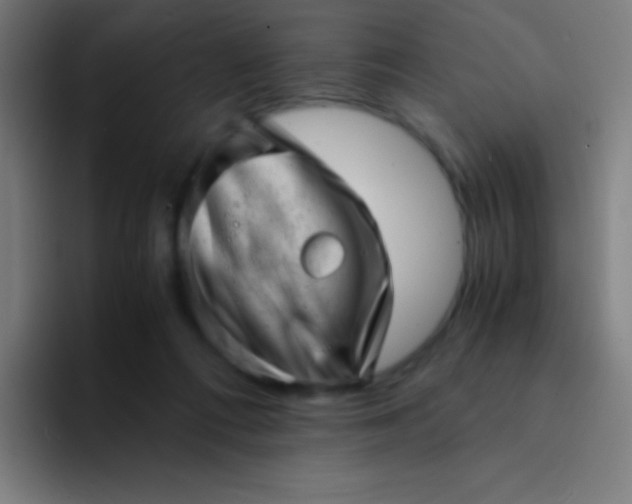 X0000094340312200711162015