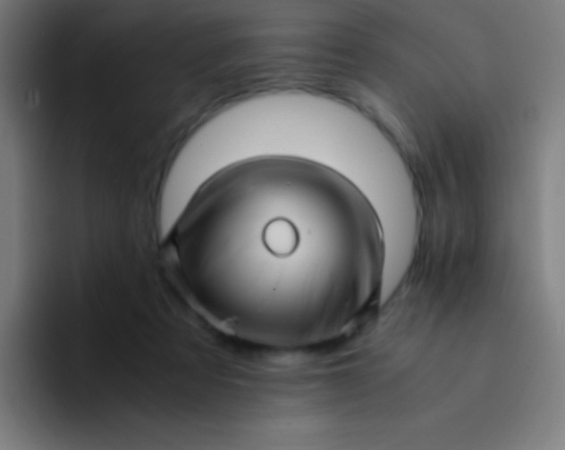 X0000094340313200711162015