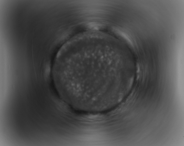 X0000094340314200711162015