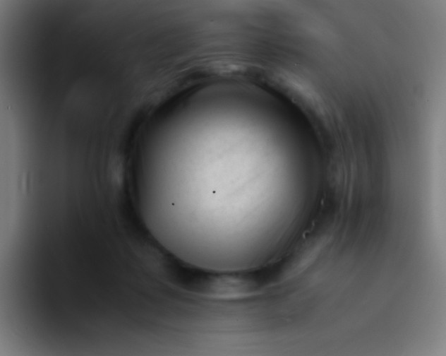 X0000094340315200711162015