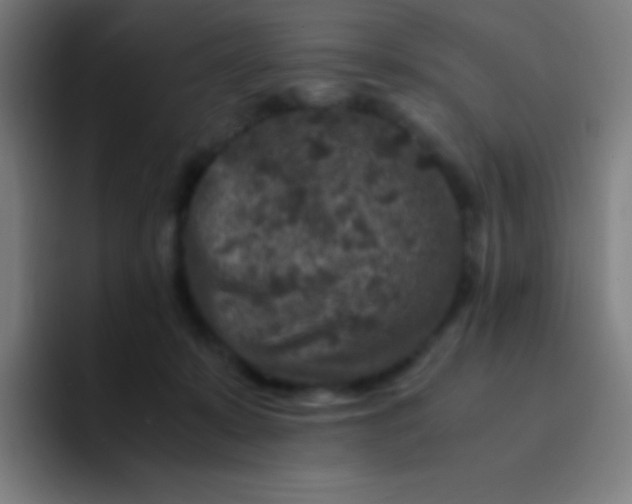 X0000094340319200711162015