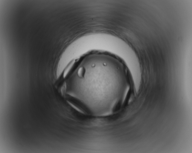 X0000094340320200711162015