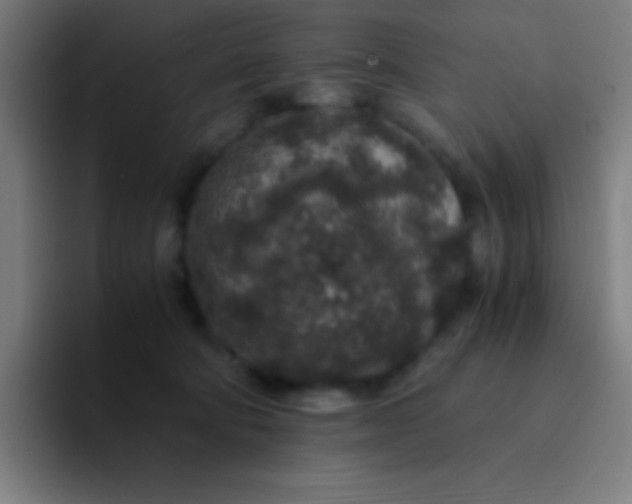 X0000094340322200711162015