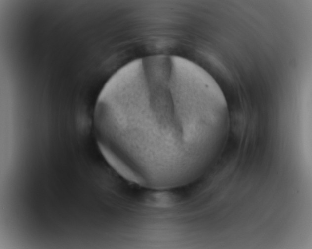 X0000094340324200711162015