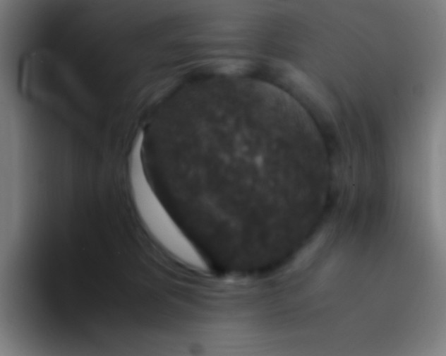 X0000094340325200711162015