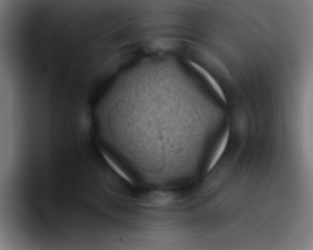 X0000094340328200711162015