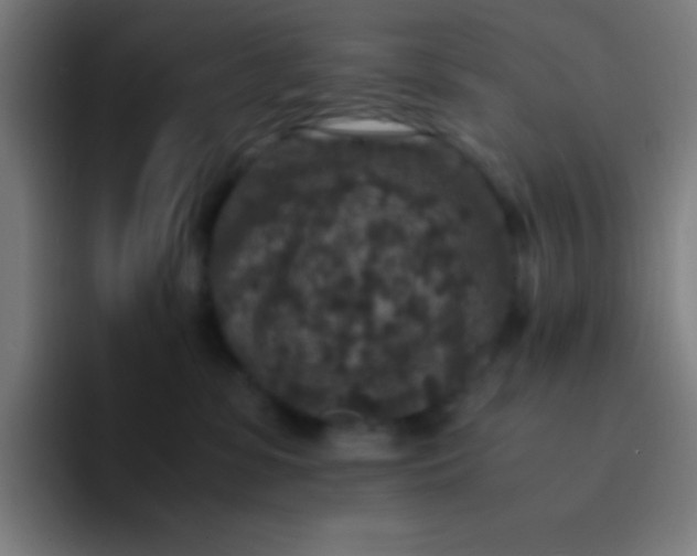 X0000094340331200711162015