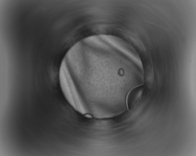 X0000094340332200711162015