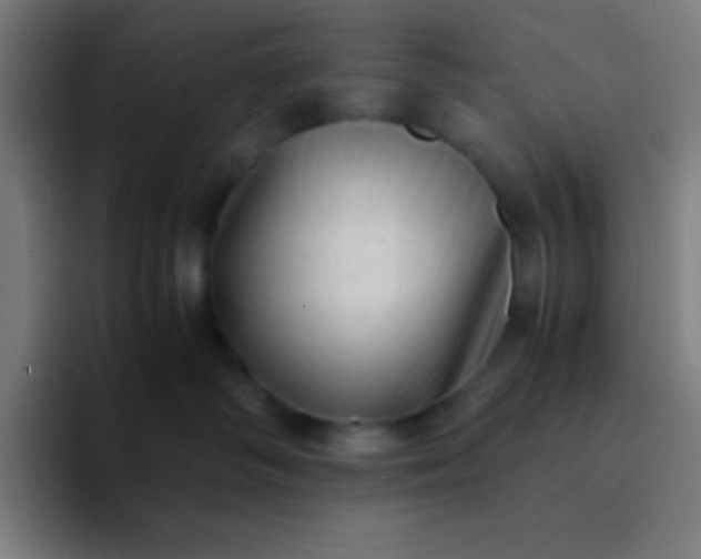 X0000094340334200711162015