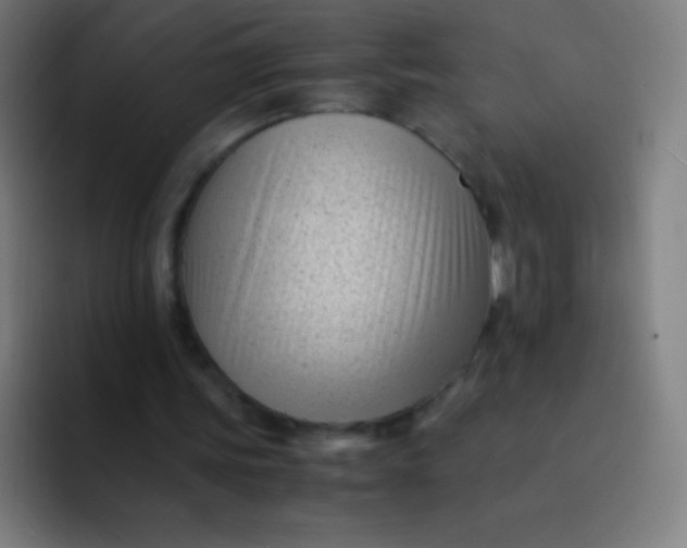 X0000094340339200711162014