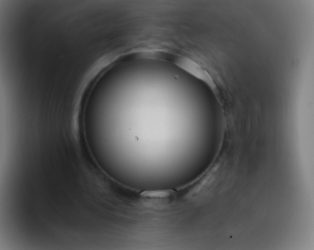 X0000094340340200711162014