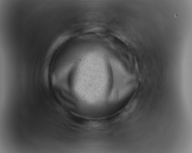 X0000094340341200711162014