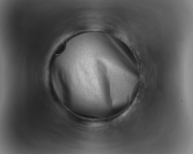 X0000094340342200711162014