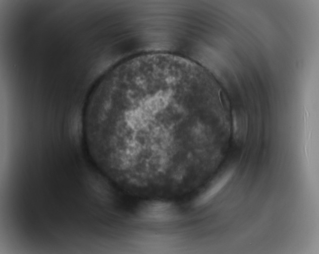 X0000094340348200711162014