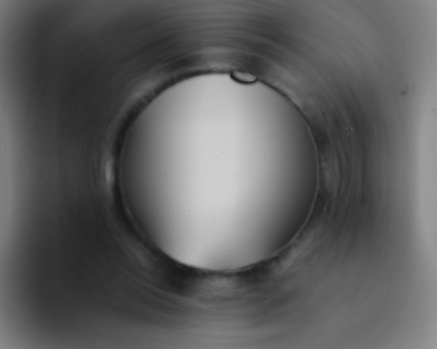 X0000094340350200711162014