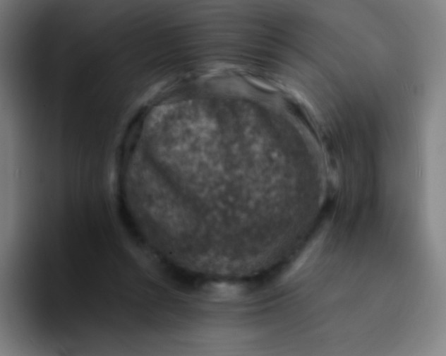 X0000094340352200711162014