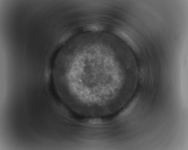 X0000094340355200711162014