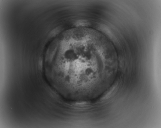 X0000094340357200711162014