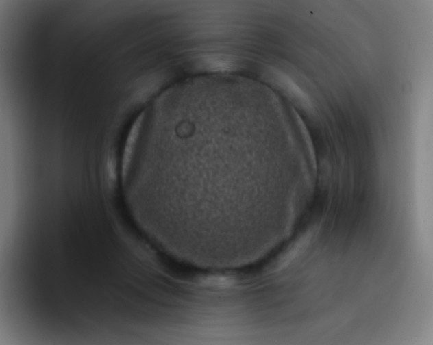 X0000094340358200711162014